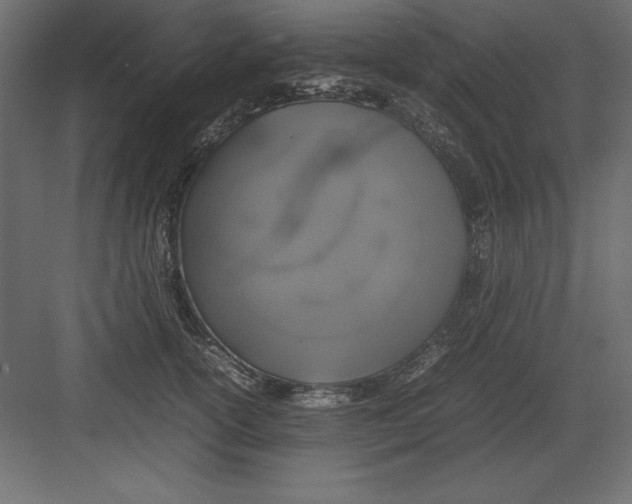 X0000082140754200702092125