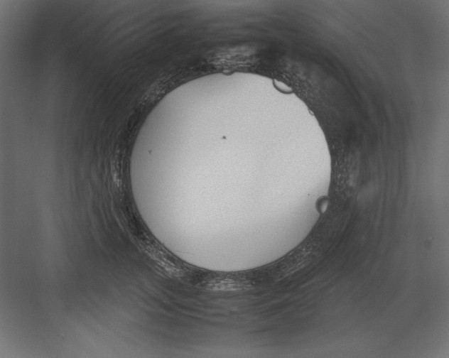 X0000082140755200702092125