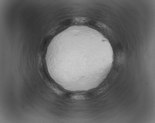 X0000082140759200702092125