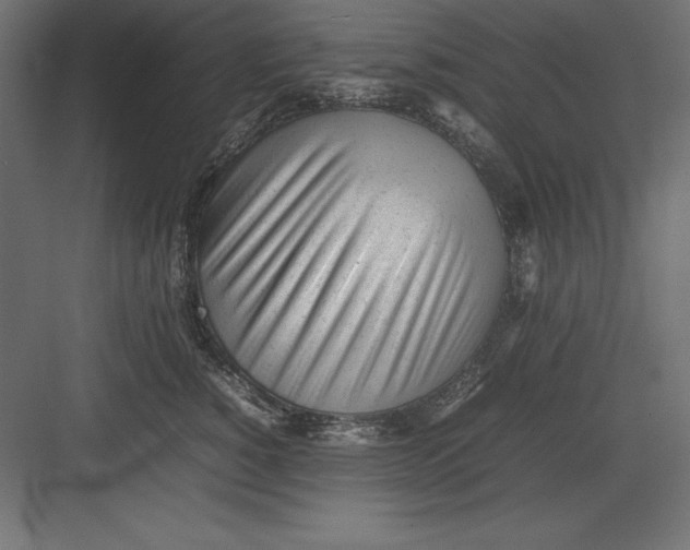 X0000082140760200702092125