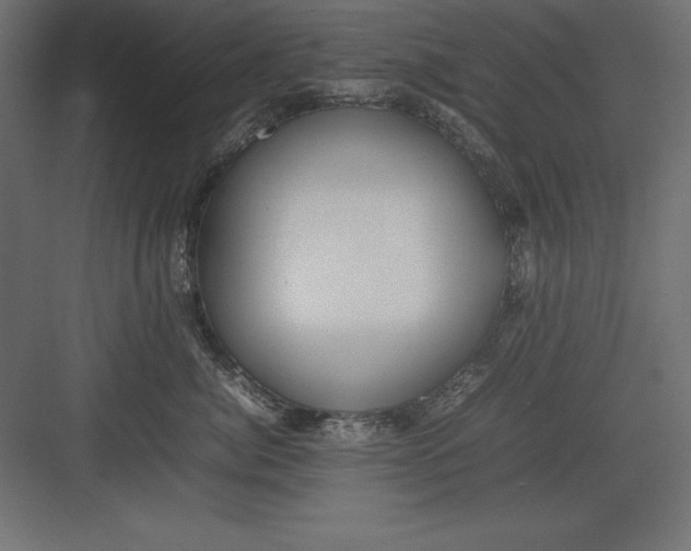 X0000082140764200702092125