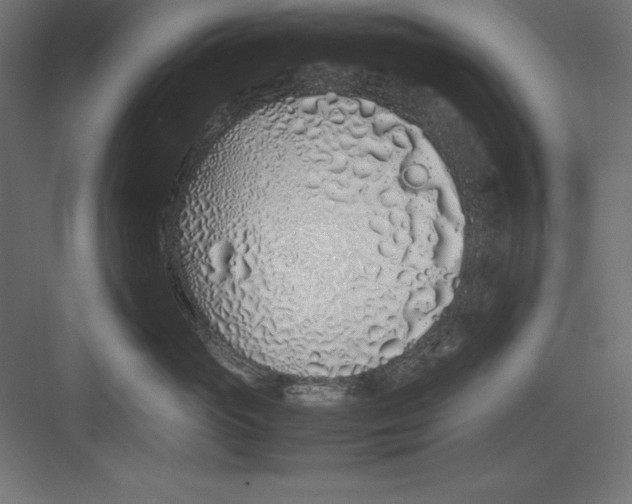 X0000082140765200702092125