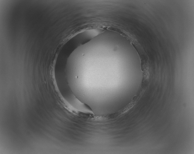 X0000082140766200702092125