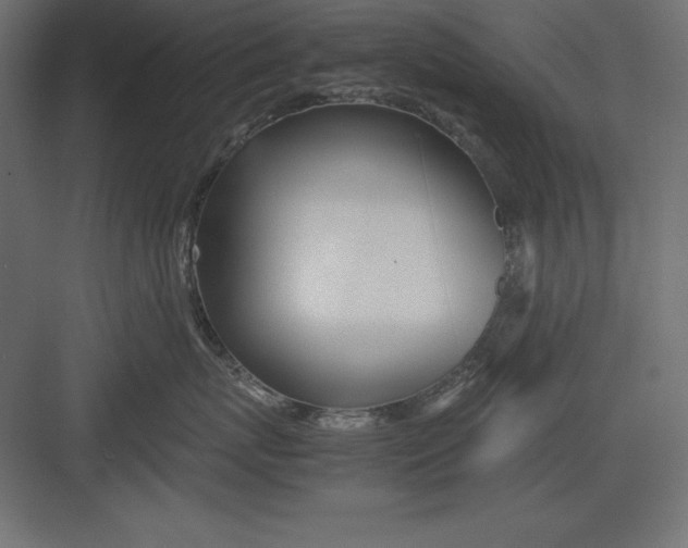 X0000082140767200702092125