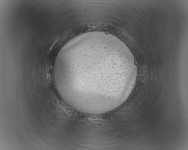 X0000082140770200702092124