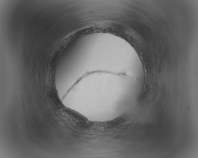 X0000082140773200702092124