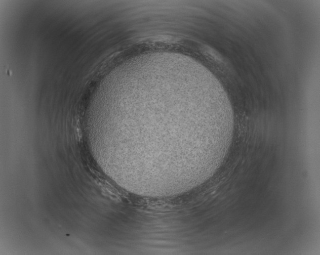 X0000082140774200702092124