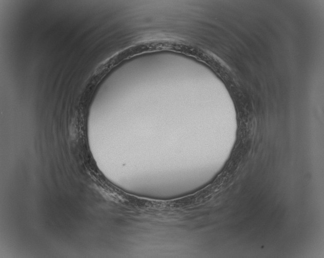 X0000082140775200702092124