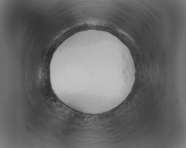 X0000082140776200702092124