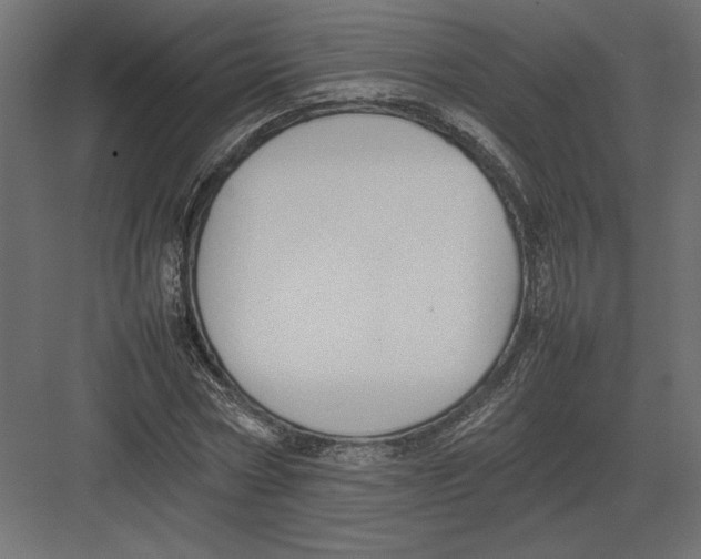 X0000082140778200702092124