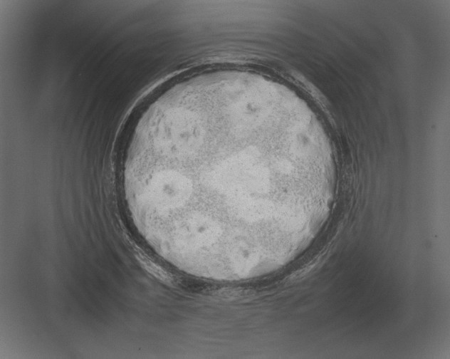 X0000082140779200702092124