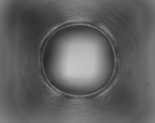 X0000082140781200702092124