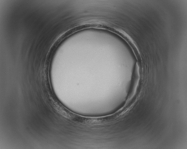 X0000082140783200702092124