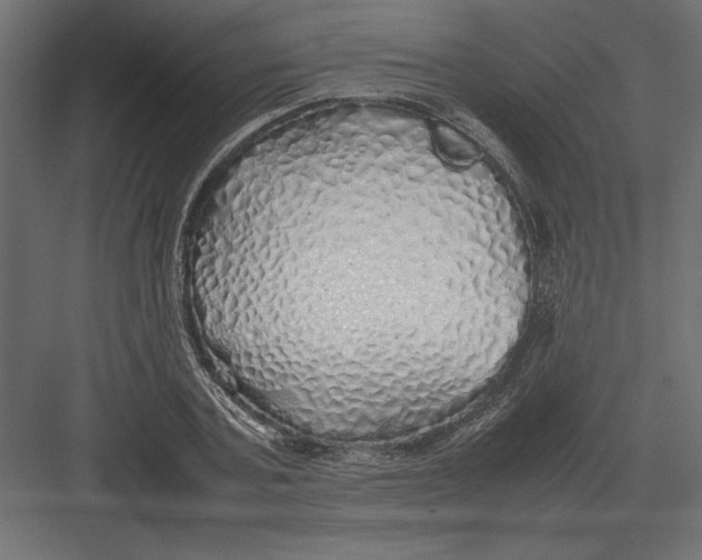 X0000082140787200702092124