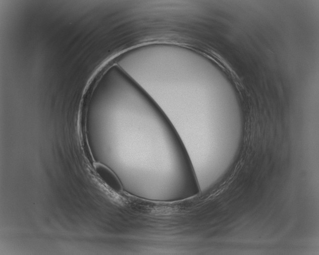 X0000082140788200702092124