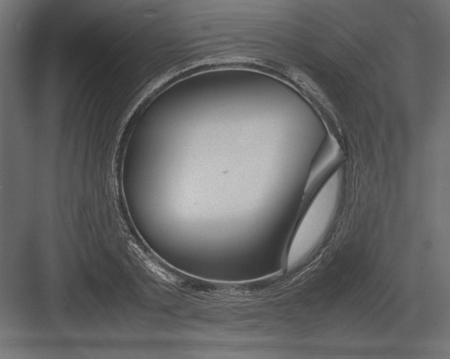 X0000082140789200702092124