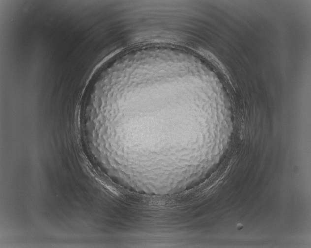 X0000082140790200702092124