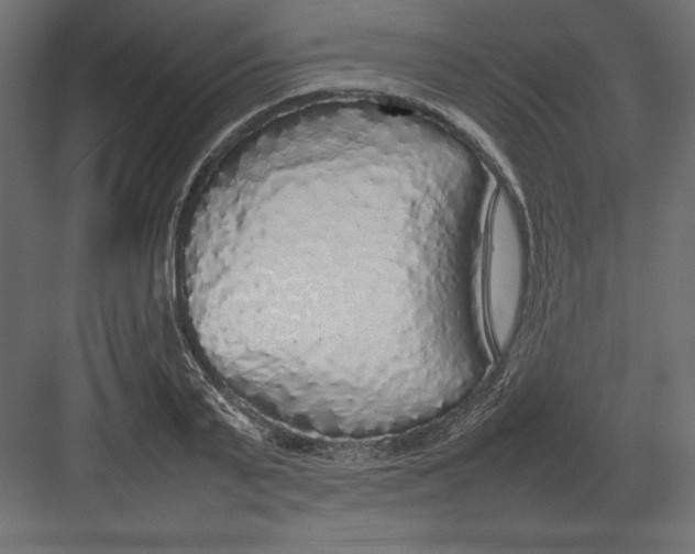 X0000082140791200702092124