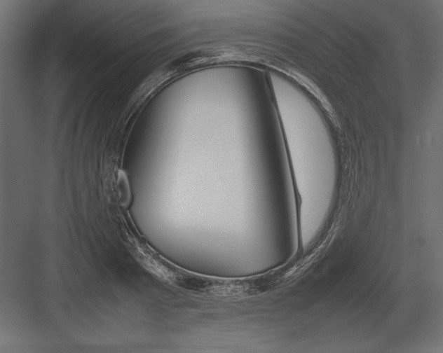 X0000082140793200702092124