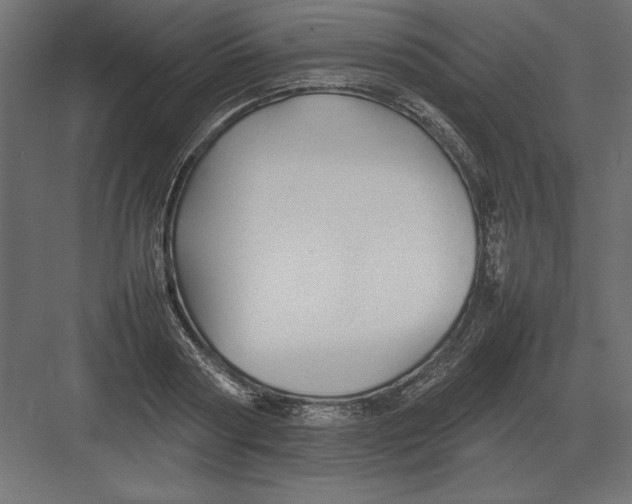 X0000082140794200702092124