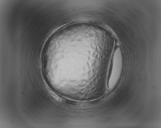 X0000082140795200702092124