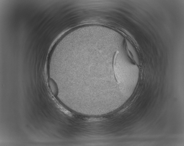 X0000082140796200702092124