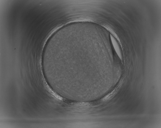 X0000082140797200702092124