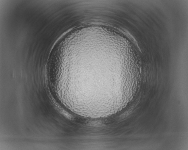 X0000082140798200702092124