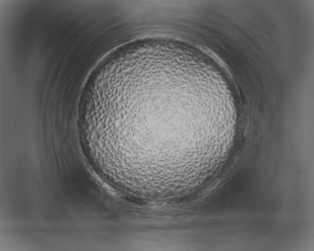 X0000082140799200702092124