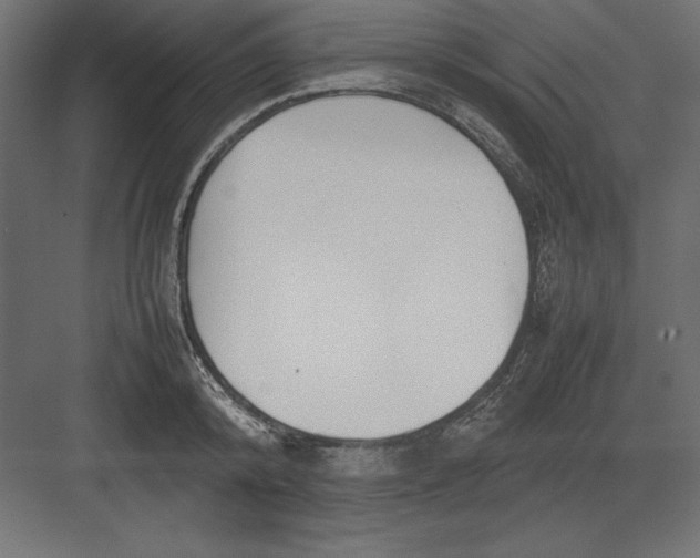 X0000082140800200702092124