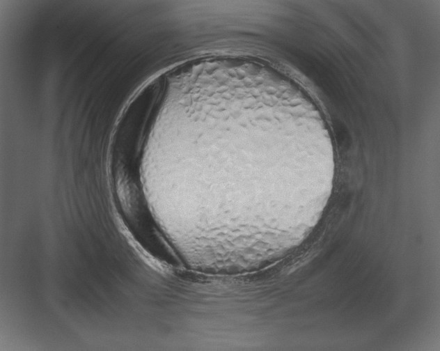 X0000082140803200702092124