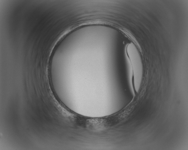 X0000082140805200702092124