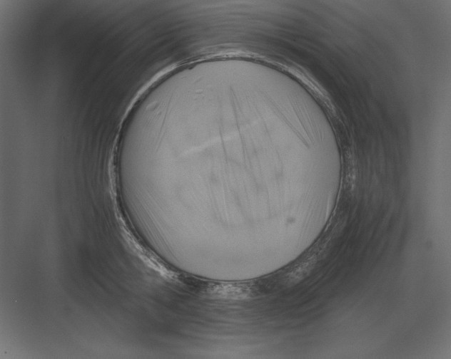 X0000082140806200702092124