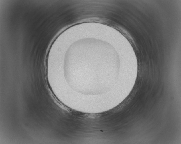 X0000082140808200702092124