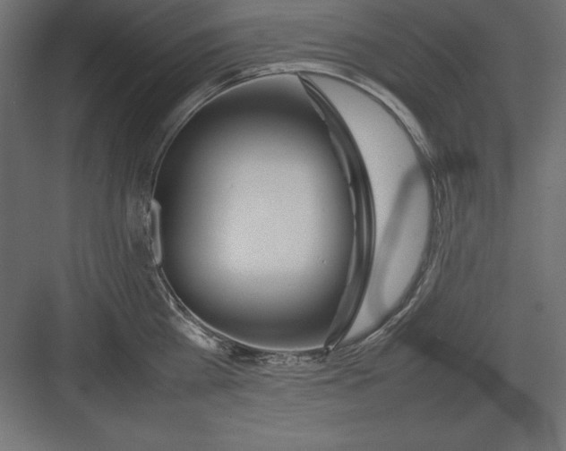 X0000082140809200702092124