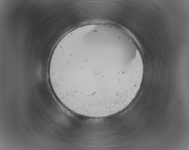 X0000082140810200702092124