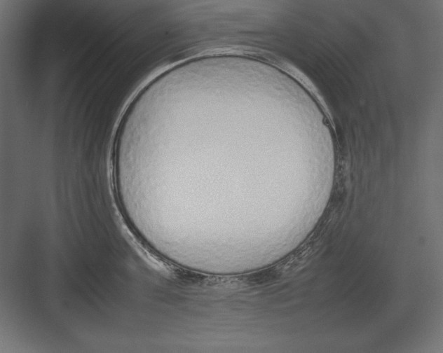 X0000082140811200702092124