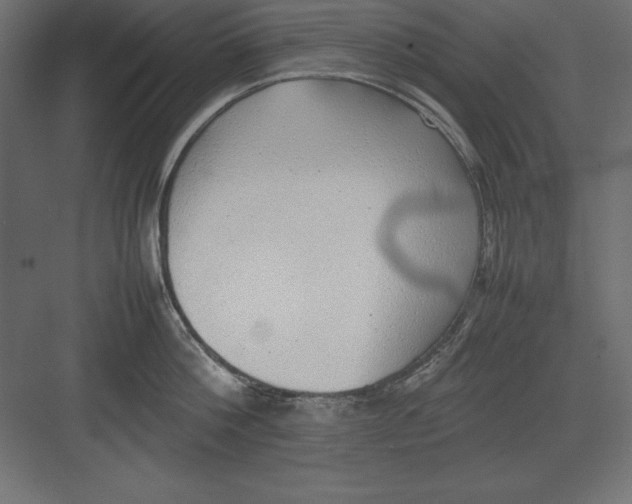 X0000082140812200702092124