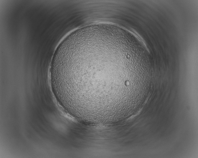 X0000082140814200702092123