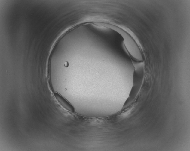 X0000082140815200702092123