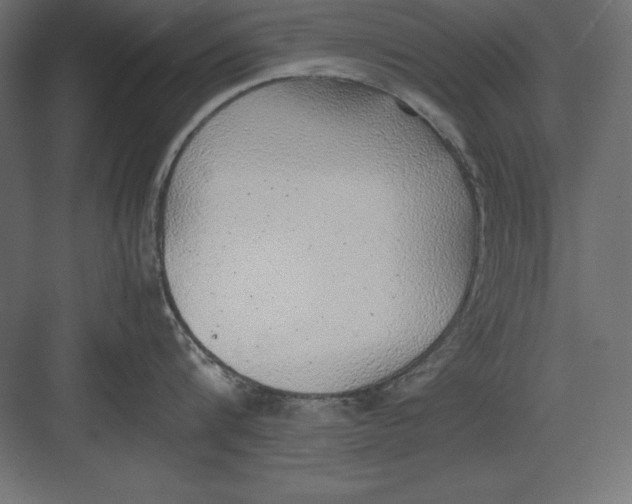 X0000082140816200702092123