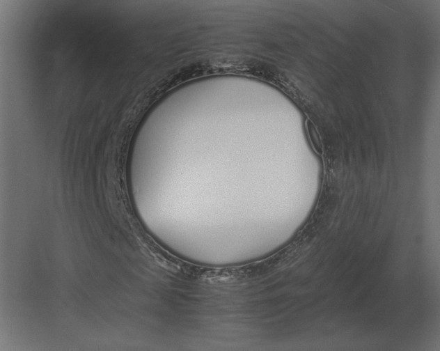 X0000082140817200702092123