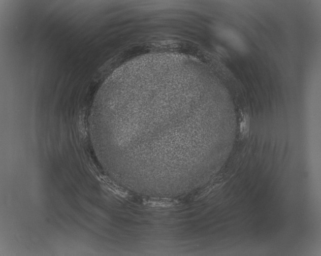 X0000082140819200702092123