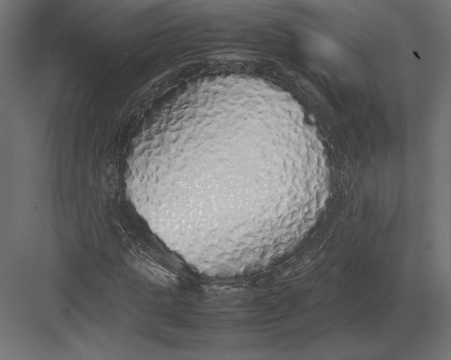 X0000082140821200702092123