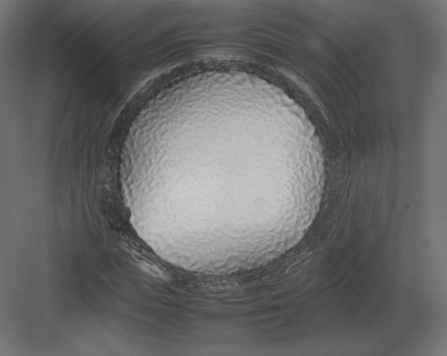 X0000082140823200702092123