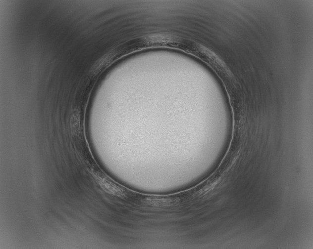 X0000082140825200702092123