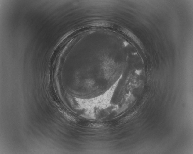 X0000082140829200702092123