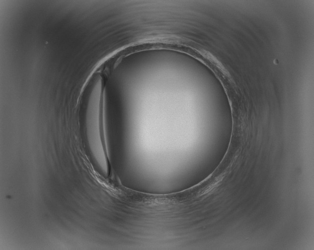 X0000082140830200702092123