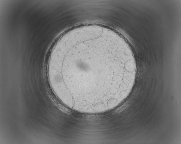 X0000082140832200702092123