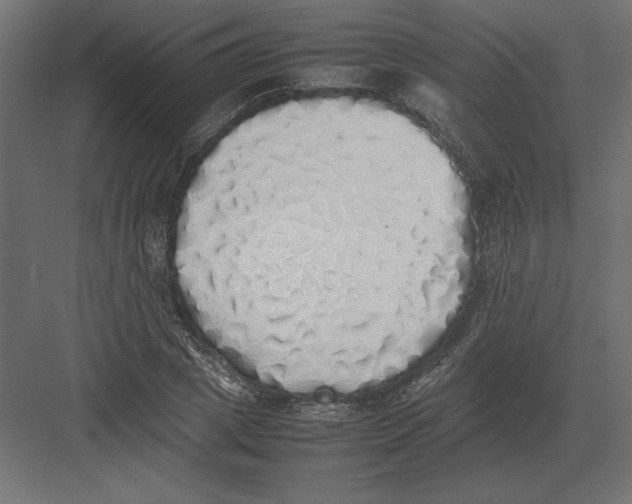 X0000082140833200702092123